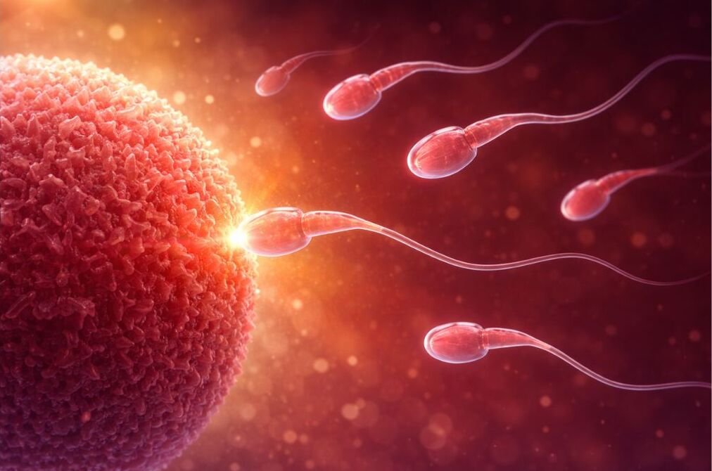 blood test gender sneak peek gender test early gender test