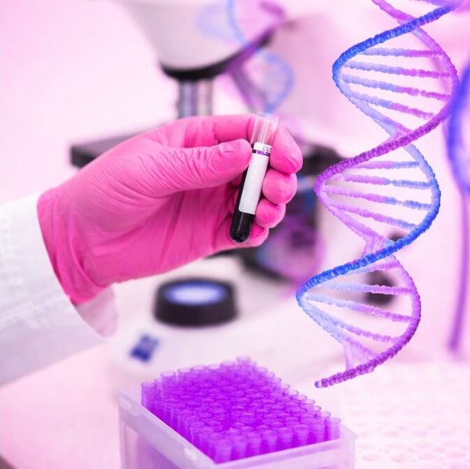 blood test gender sneak peek gender test early gender test