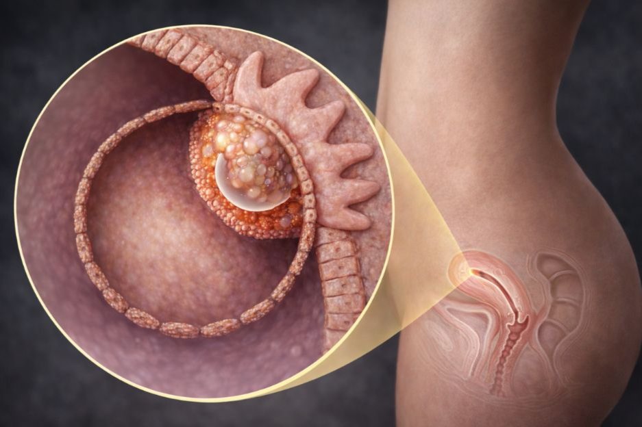 2 week pregnancy symptoms conception indicator test fact facer positive ovulation test ovu kit Tips for 2 Weeks Pregnant signs of early pregnancy benefits of prenatal vitamins while not pregnant prenatal vitamins as a multivitamin do prenatal vitamins help you conceive healthy pregnancy tips Symptoms of Ovulation